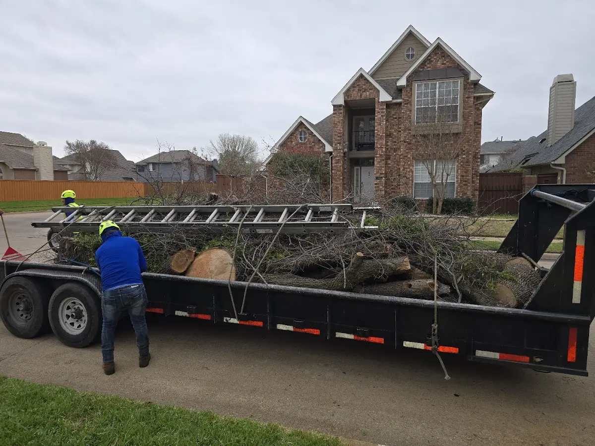 Expert Tree Removal with proper safety equipment in Worthington